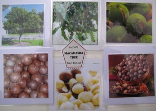 6-card set MACADAMIA: TREE to NUT
