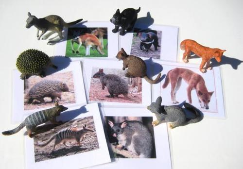 7 AUSSIE ANIMALS & matching cards, Set # 1