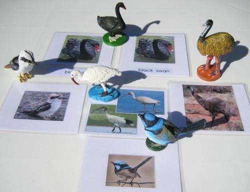 5 AUSSIE BIRDS & matching 3-part cards, Set # 1