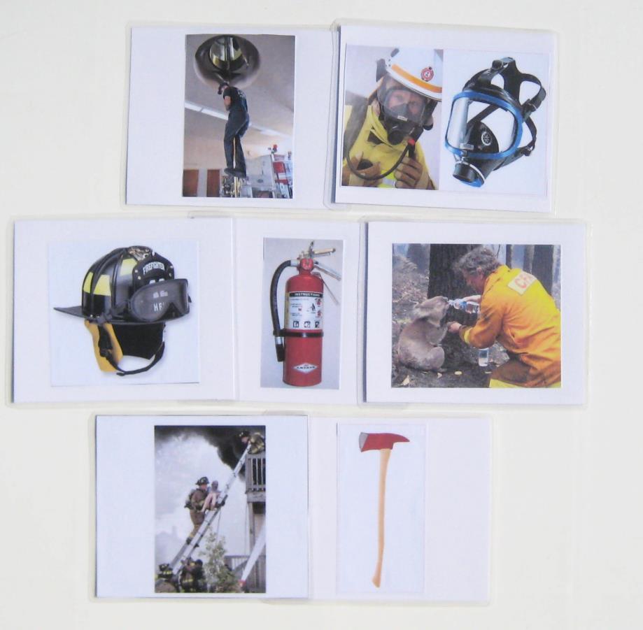 4-piece PRAYING MANTIS Life Cycle & matching cards — view 2