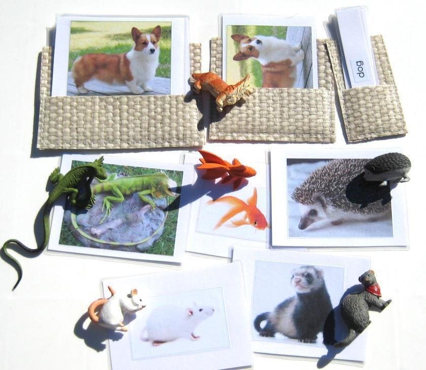 6 PETS & matching 3-part cards, Set 2