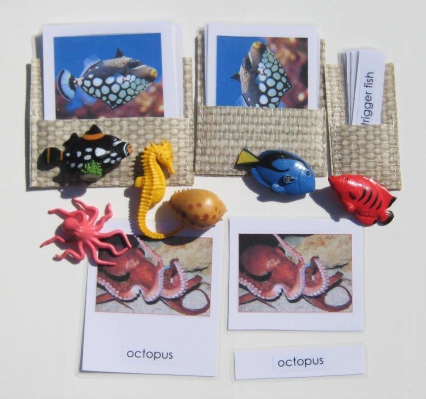 6 CORAL REEF & matching 3-part cards, Set #2