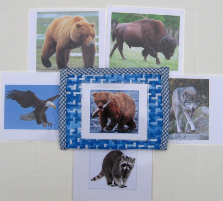 5 LARGE NORTH AMERICAN animals & matching cards — view 2