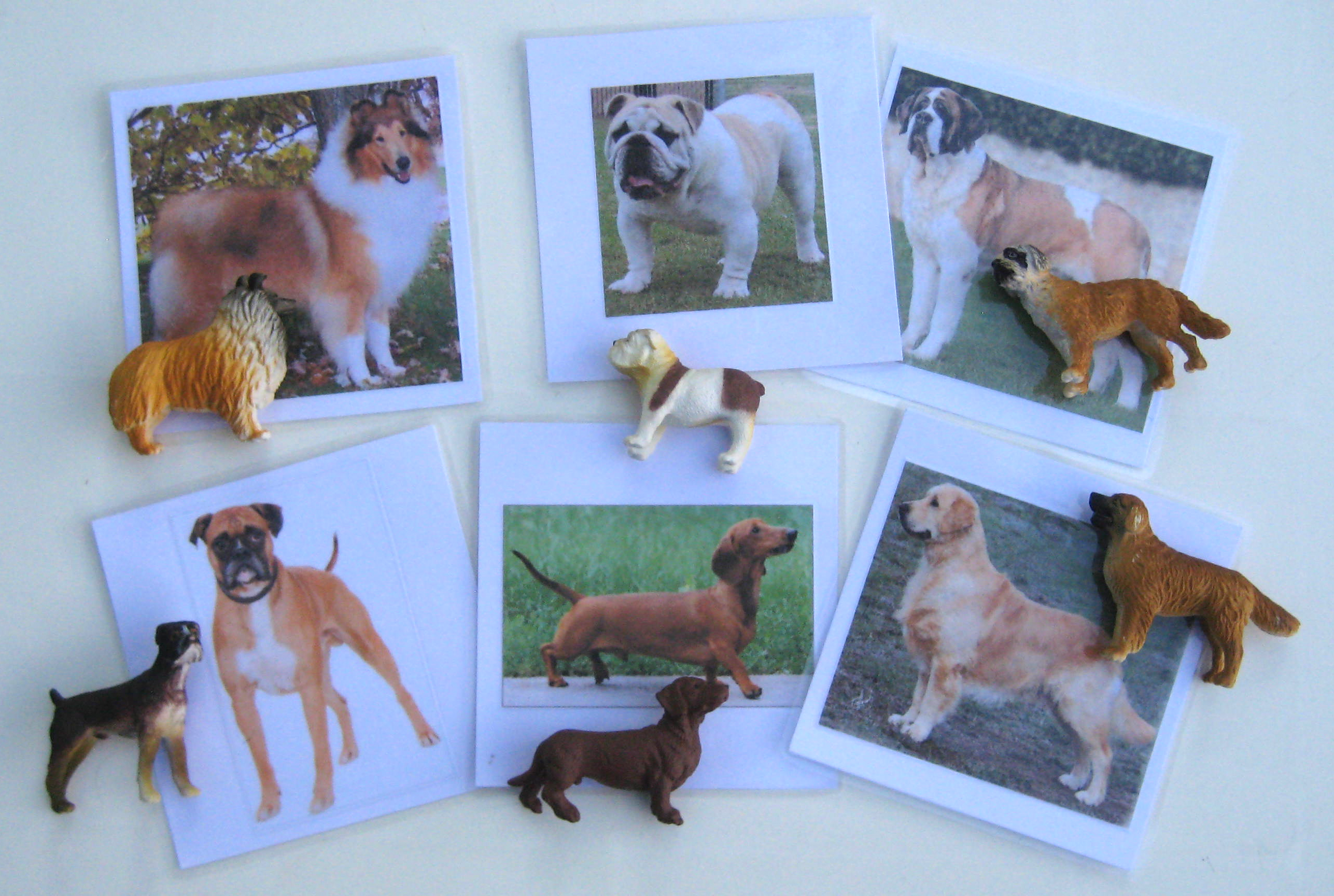 6 DOGS & matching cards, Set #2