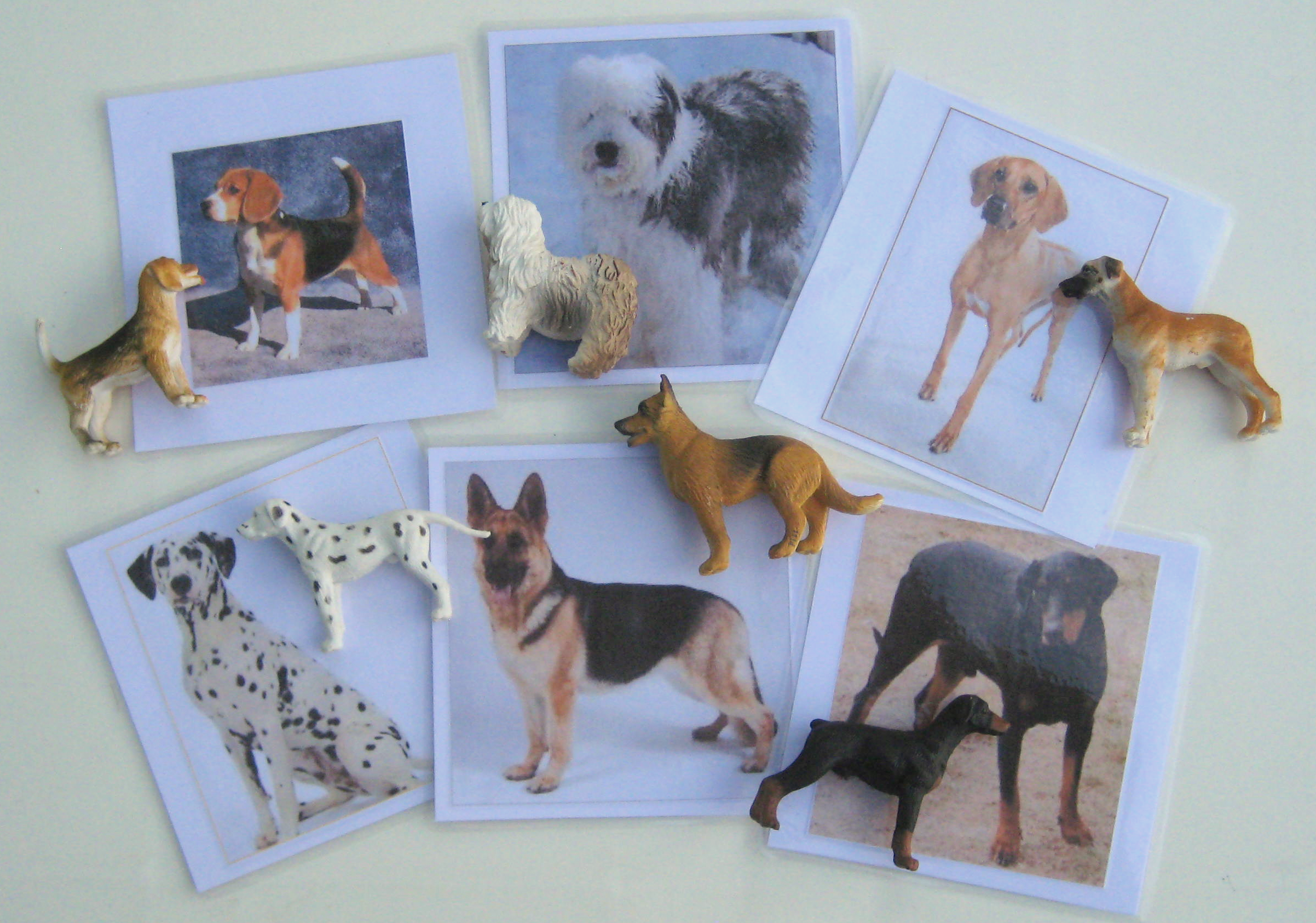 6 DOGS & matching cards, Set #1