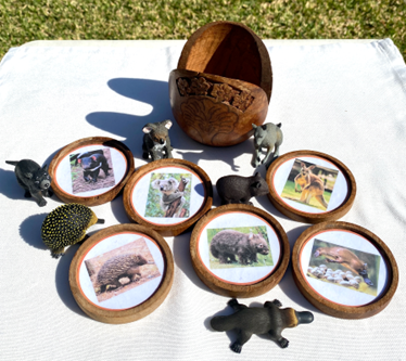 6 AUSTRALIAN ANIMALS & Matching Coaster Cards in Wooden Holder