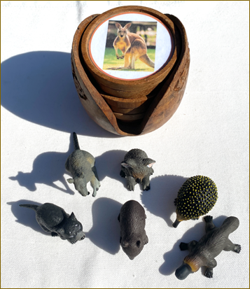 6 AUSTRALIAN ANIMALS & Matching Coaster Cards in Wooden Holder — view 2
