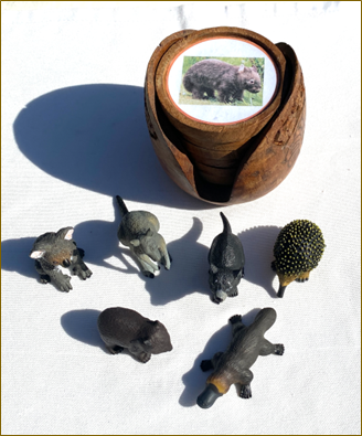 6 AUSTRALIAN ANIMALS & Matching Coaster Cards in Wooden Holder — view 3
