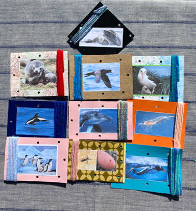 10 Themed SEWING CARDS with matching yarn — view 2