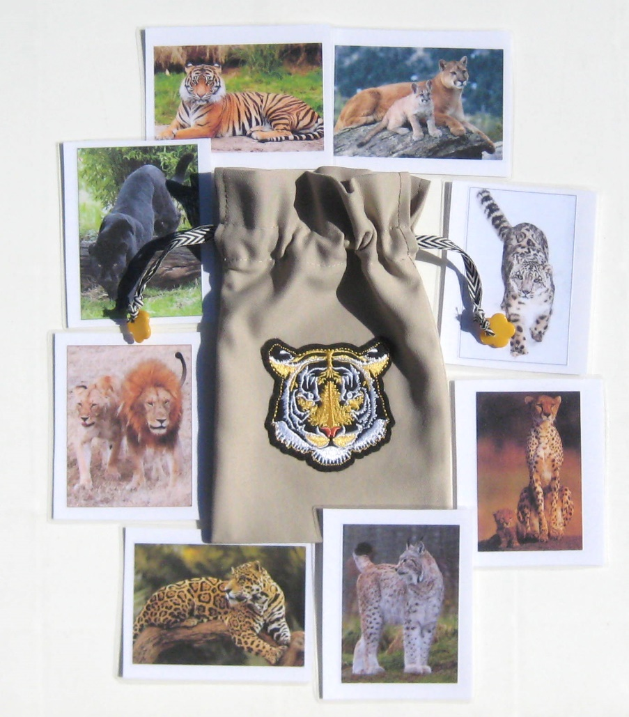 8 WILD CATS cards only