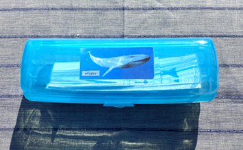 7 WHALES & matching cards in container — view 2